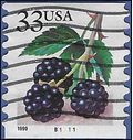 #3304 33c Blackberries PNC Coil Single #B1111 1999 Used