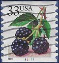 #3304 33c Blackberries PNC Coil Single #B2211 1999 Used