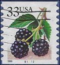 #3304 33c Blackberries PNC Coil Single #B1112 1999 Used