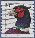 #3055 20c Ring-necked Pheasant PNC Single #1111 1998 Used