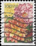 #5045 Botanical Art Dahlias Booklet Single 2016 Used
