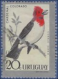 Uruguay #C247 1962 Used