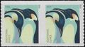 #4990 22c Emperor Penguins Coil Pair 2015 Mint NH