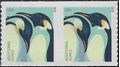 #4990 22c Emperor Penguins Coil Pair 2015 Mint NH