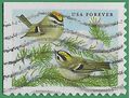 #5126 (47c Forever) Songbirds Golden-Crowned Kinglets 2016 Used
