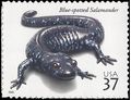 #3815 37c Reptiles and Amphibians Blue-spotted Salamander 2003 Mint NH