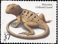 #3816 37c Reptiles and Amphibians Reticulate Collared Lizard 2003 Mint NH