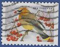 #5127 (47c Forever) Songbirds Cedar Waxwing 2016 Used