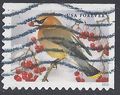 #5127 (47c Forever) Songbirds Cedar Waxwing 2016 Used