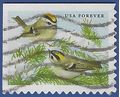 #5126 (47c Forever) Songbirds Golden-Crowned Kinglets 2016 Used