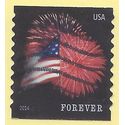 #4854 (49c Forever) Star Spangled Banner Coil Single 2014 Used