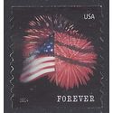 #4854 (49c Forever) Star Spangled Banner Coil Single 2014 Used