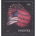 #4854 (49c Forever) Star Spangled Banner Coil Single 2014 Used