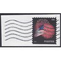 #4855 (49c Forever) Star Spangled Banner Booklet Single 2014 Used
