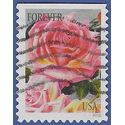 #5047 Botanical Art – Roses Booklet Single 2016 Used
