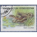 Kyrgyzstan #100 1996 CTO H
