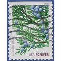 #4479 44c Holiday Evergreens Eastern Red Cedar Booklet Single 2010 Used