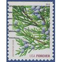 #4479 44c Holiday Evergreens Eastern Red Cedar Booklet Single 2010 Used