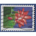#4865 (49c Forever) Winter Flowers Christmas Cactus Booklet Single 2014 Used