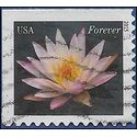 #4964 (49c Forever) Pale Pink Water Lily Booklet Single 2015 Used