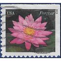 #4965 (49c Forever) Red Water Lily Booklet Single 2015 Used
