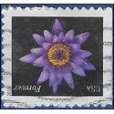 #4966 (49c Forever) Purple Water Lily Booklet Single 2015 Used