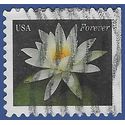 #4967 (49c Forever) White Water Lily Booklet Single 2015 Used