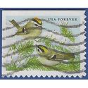 #5126 (47c Forever) Songbirds Golden-Crowned Kinglets 2016 Used