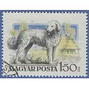Hungary #1154 1956 CTO