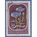 Hungary # 974 1951 CTO