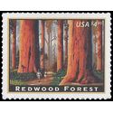 #4378 $4.95 Priority Mail Redwood Forest 2009 Mint NH