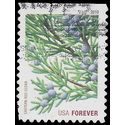 #4479 44c Holiday Evergreens Eastern Red Cedar Booklet Single 2010 Used