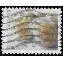 #4520 (44c Forever) Wedding Roses 2011 Used