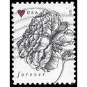 #4959 (49c Forever) Vintage Rose 2015 Used