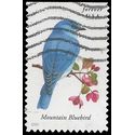 #4883 Songbirds-Mountain Bluebird Booklet Single 2014 Used