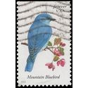 #4883 Songbirds-Mountain Bluebird Booklet Single 2014 Used