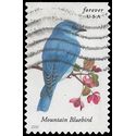 #4883 Songbirds-Mountain Bluebird Booklet Single 2014 Used