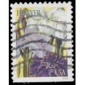 #5048 Botanical Art Japanese Iris  Booklet Single 2016 Used