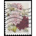 #5050 Botanical Art Petunias  Booklet Single 2016 Used