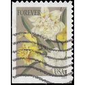#5051 Botanical Art Jonquils Booklet Single 2016 Used