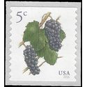 #5038 5c Grapes Coil Single 2016 Mint NH