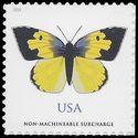 #5346 (70c Forever) California Dogface Butterfly Non-Machinable Surcharge 2019 Mint NH