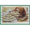 #4547 (44c Forever) Owney the Postal Dog 2011 Used