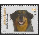 #4458 44c Animal Rescue Australian Shepherd  2010 Mint NH