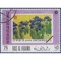 Ras Al Khaima #Mi  417 1970 CTO