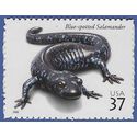#3815 37c Reptiles and Amphibians Blue-spotted Salamander 2003 Mint NH