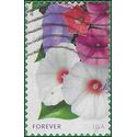 #4752 (46c Forever) La Florida Morning Glory 2013 Used
