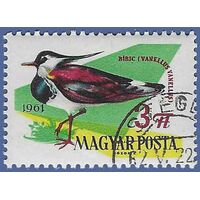 Hungary #1433 1961 CTO