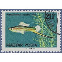 Hungary #1437 1962 CTO