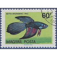 Hungary #1440 1962 CTO